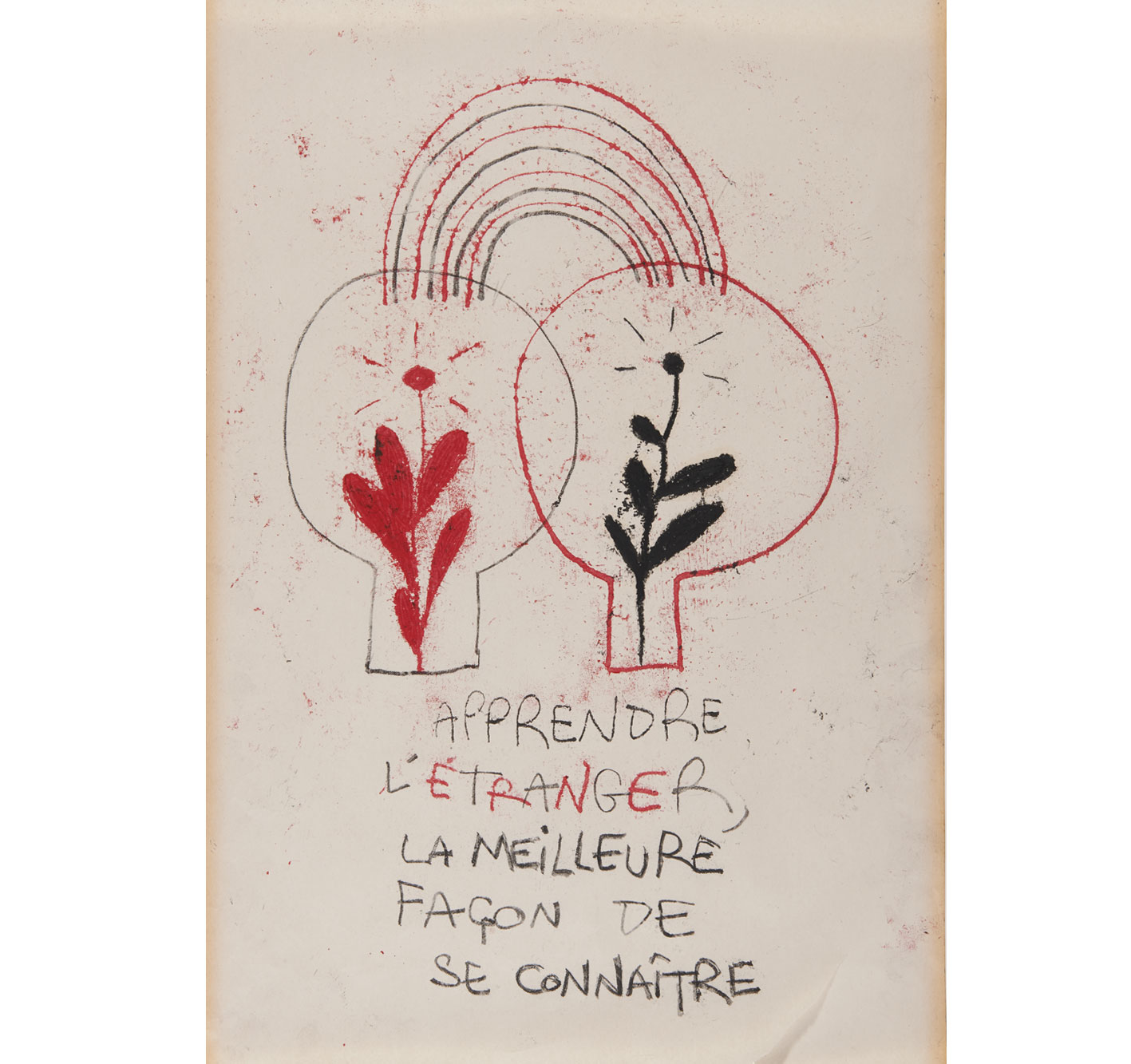portfolio_image1
